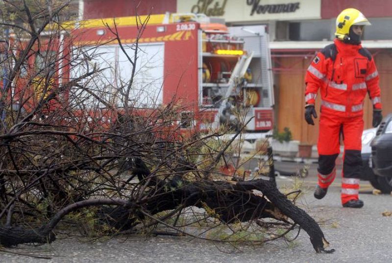  Un árbol caído en L'Escala