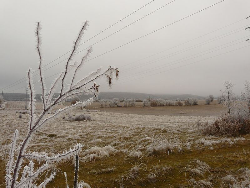 Salas de los Infantes, Burgos