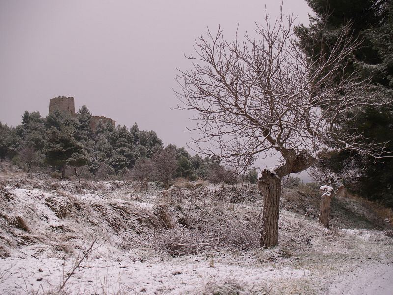 La nieve ha llegado a otros puntos de España poco habituados a este fenómeno meteorológico como Alcoi.