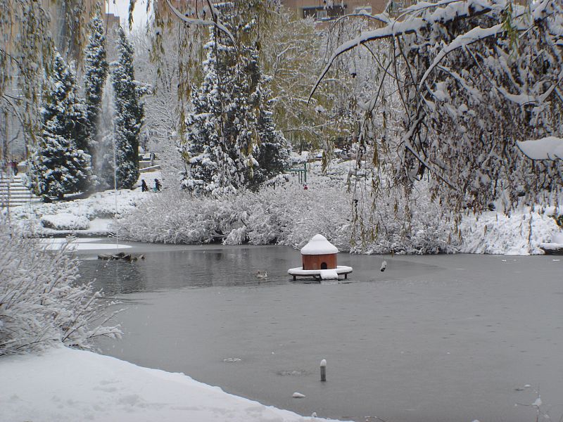 Lago de la Rambla en Coslada