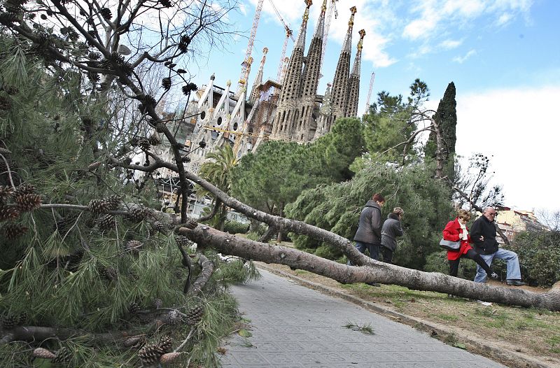 TEMPORAL DE VIENTO