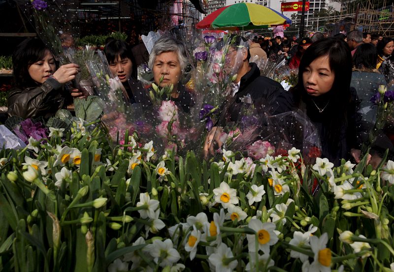 CELEBRACIONES POR EL AÑO NUEVO CHINO EN HONG KONG