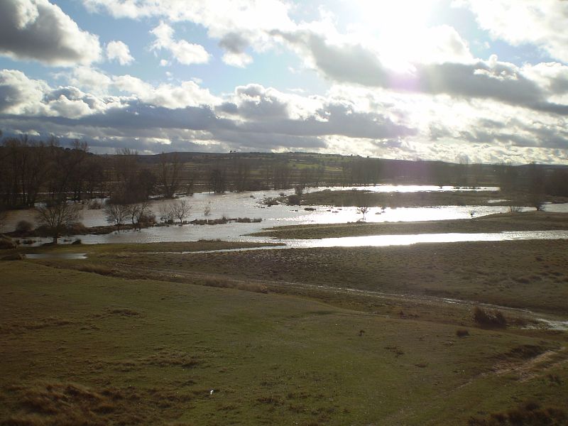 Río Arlanza a su paso por Tordomar, Burgos. 27/01/2009