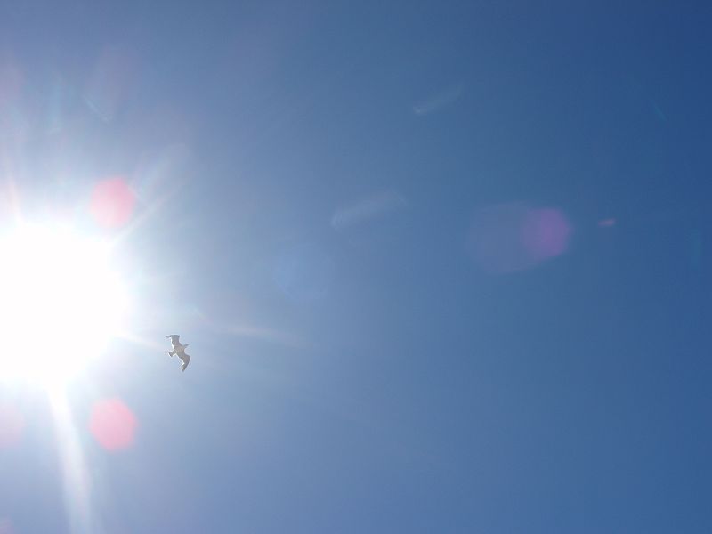 El cielo de Málaga. 28/01/2009