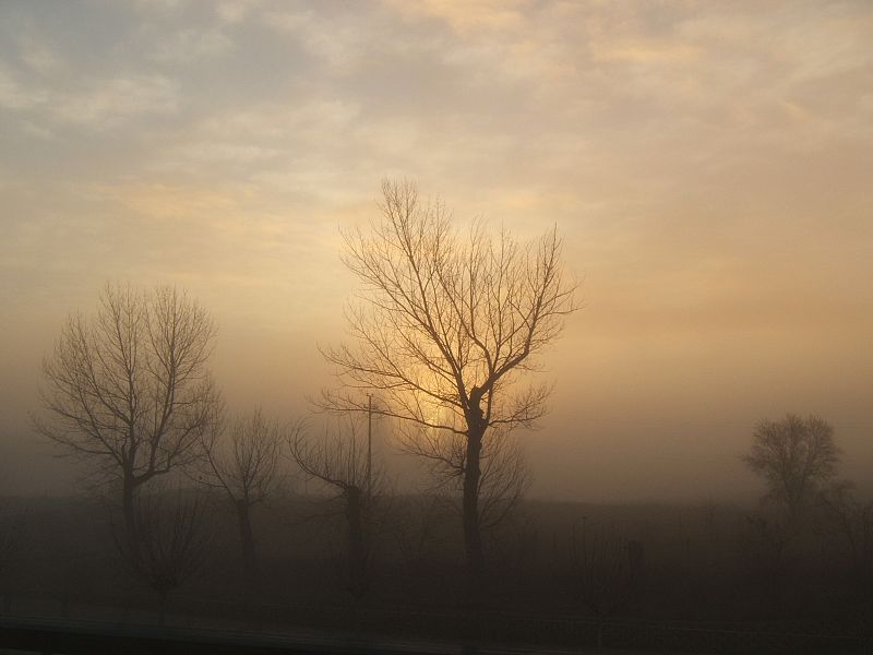 Niebla en Cuenca.(30/01/09)