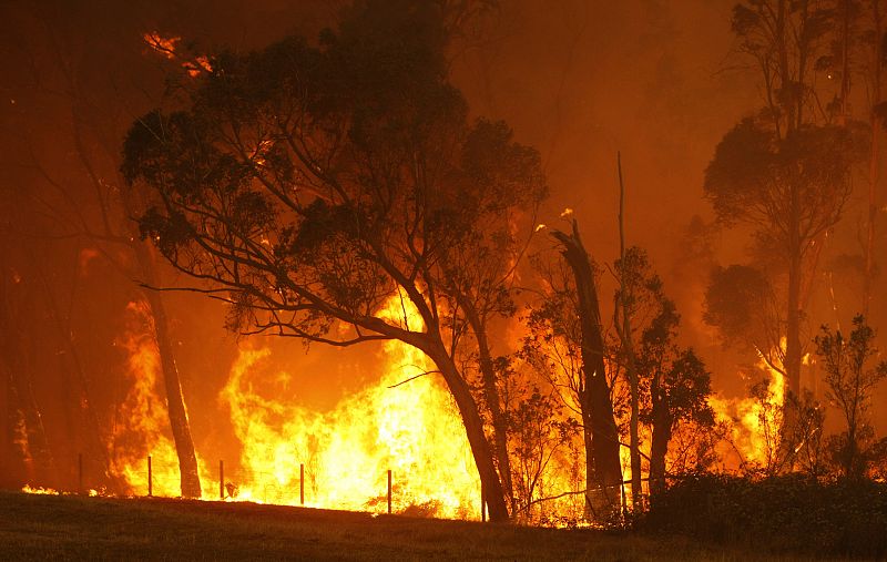 A bushfire burns through a forest on the outskirts of Labertouche