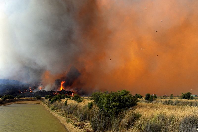 INCENDIO FORESTAL AL ESTE DE MELBOURNE