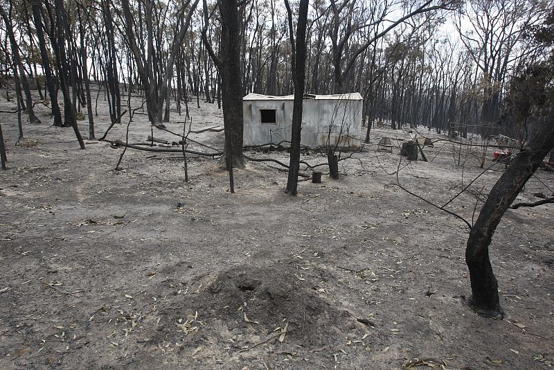 El fuego se ha propagado con intensa rapidez y muchas zonas forestales se han visto afectadas.