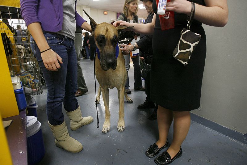 Lance espera en el backstage