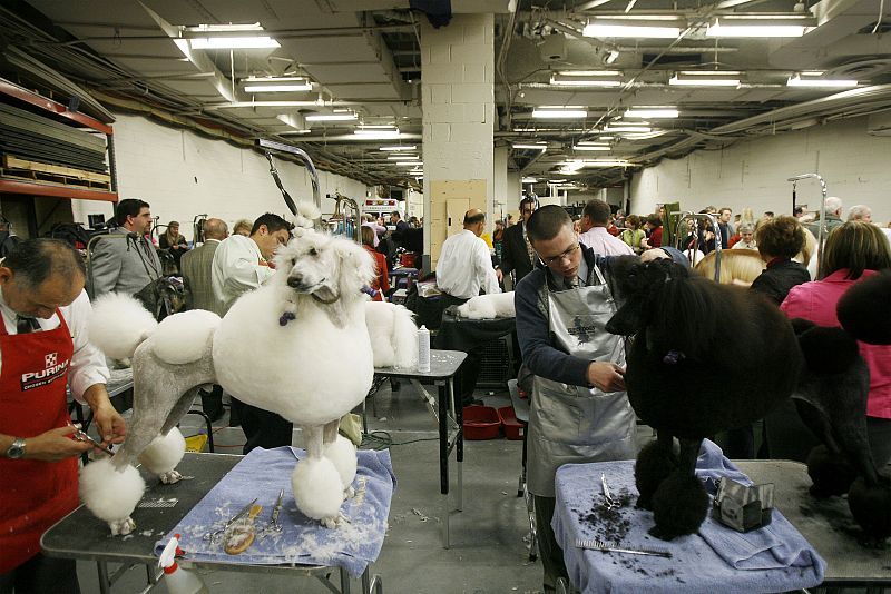 El salón de peluquería, a pleno rendimiento