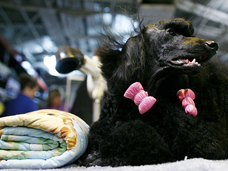 Jaime, listo para concursar