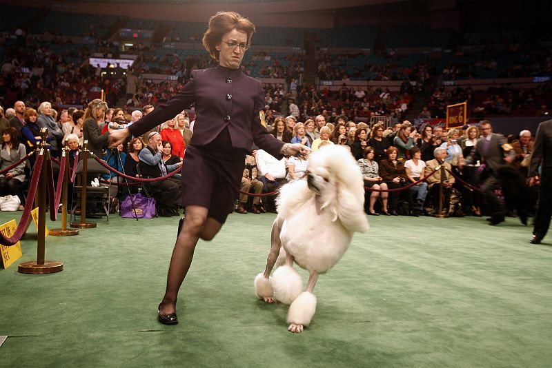 Una carrera delante de los jueces es indispensable para seguir compitiendo