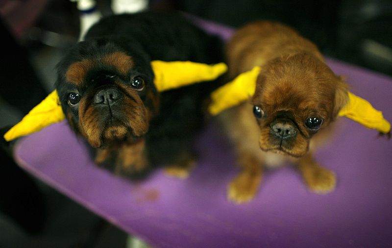 También hay sitio para los más pequeños