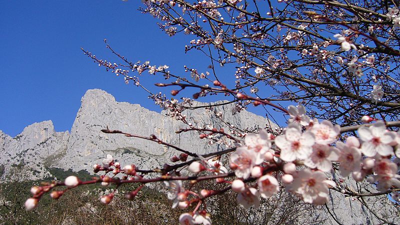 Valle de Liébana, Cantabria.(19/02/09)