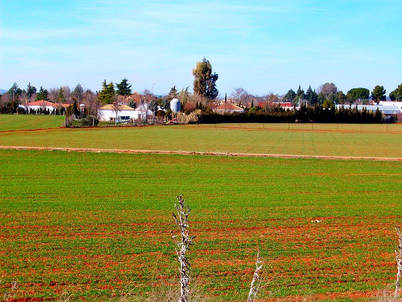 Ciudad Real.(19/02/09)