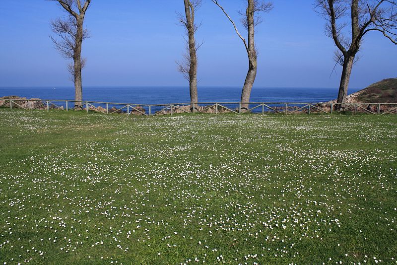 Candás, Asturias.(26/02/09)