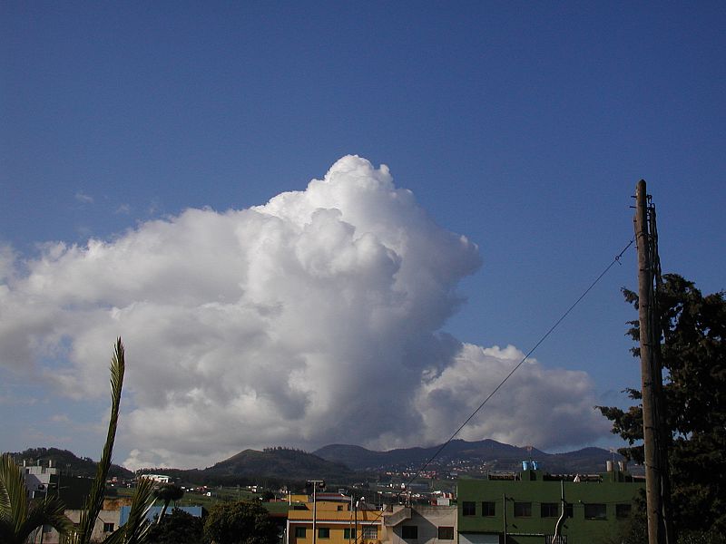 La Laguna, Tenerife.(27/02/09)