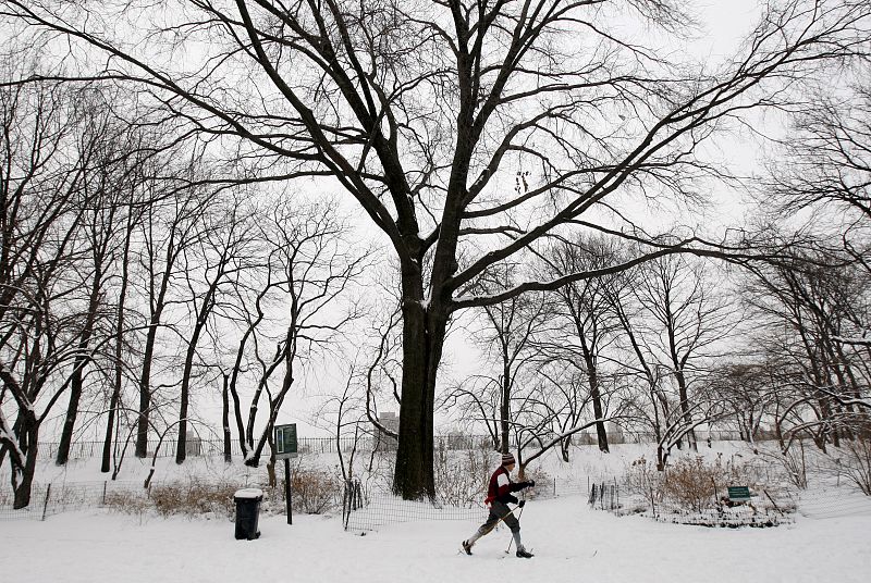 Un hombre esquiando en Central Park en marzo