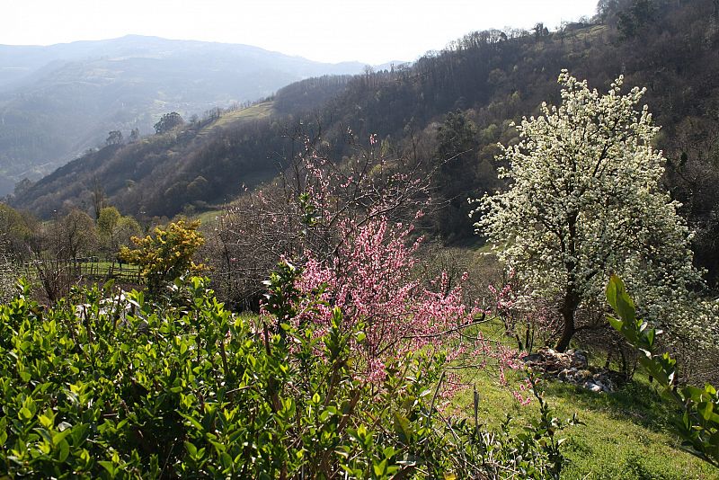 Mieres, Asturias. 20/03/2009