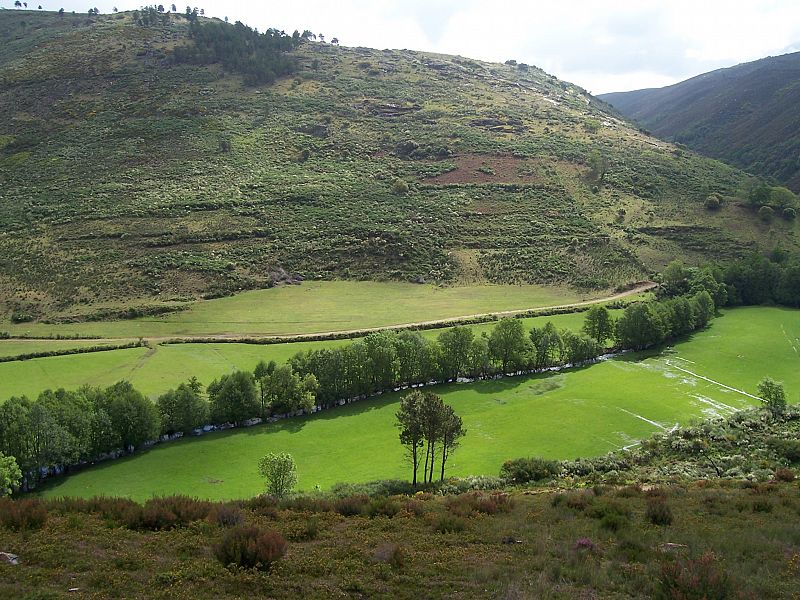 Primavera en Ourense. 24/03/2009