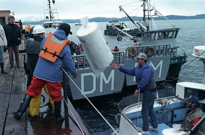 Un pescador lanza un rollo del absorbente utilizado para limpiar el vertido