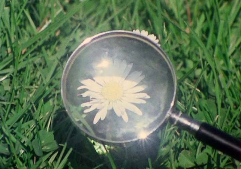 Esta serie destaca por la belleza de sus imágenes