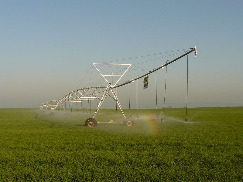 Campo manchego en Ciudad Real. 26/03/2009