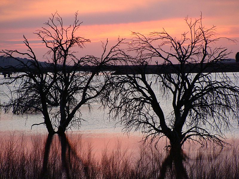 Embalse de la Cabezuela, en Valdepeñas (Ciudad Real). 26/03/2009