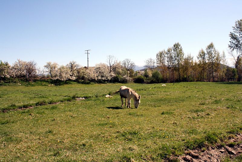 El Bierzo, León.(27/03/09)