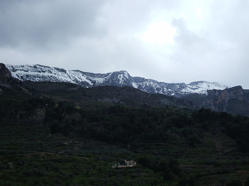 Nieve en la Sierra de Alicante.(31/03/09)