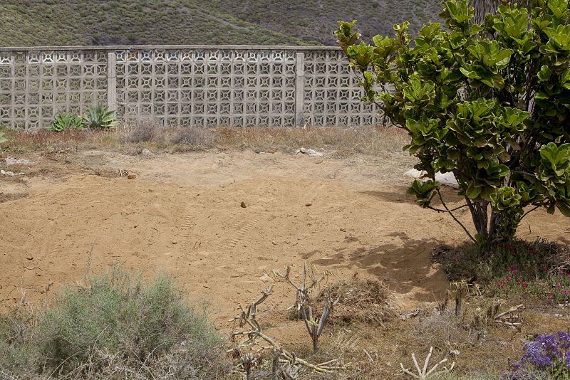 Se busca su cuerpo en un solar cercano a la capital grancanaria.