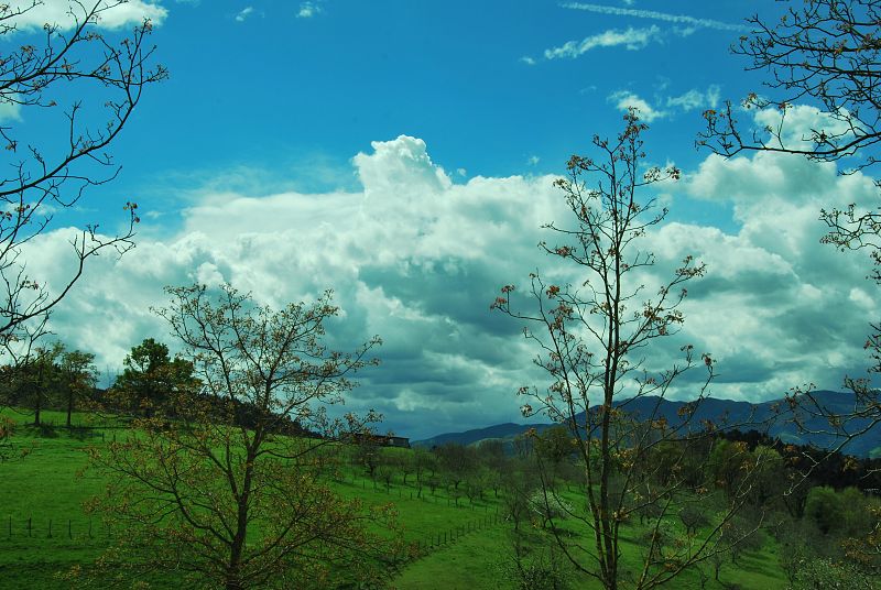 San Esteban, Andoain (Guipúzcoa). 17/04/2009