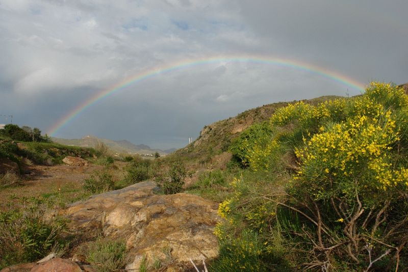 Sierra de Mazarrón, Murcia.(21/04/09)