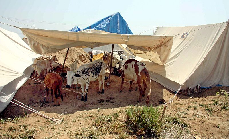 CONFLICTO DEL VALLE DE SWAT
