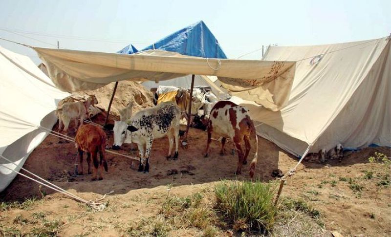 CONFLICTO DEL VALLE DE SWAT