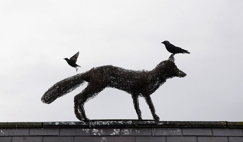 escultura de zorro