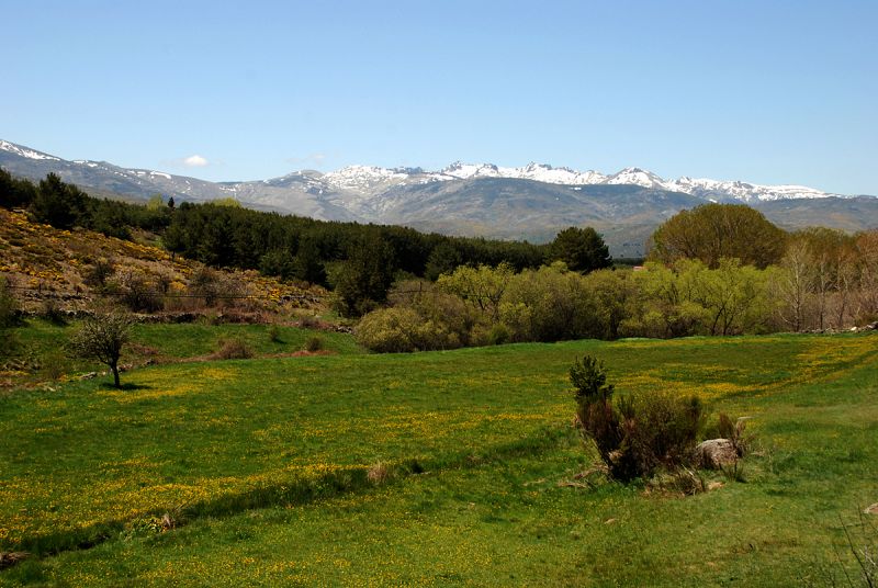 Día primaveral en la sierra de Gredos, Ávila. 19/05/2009