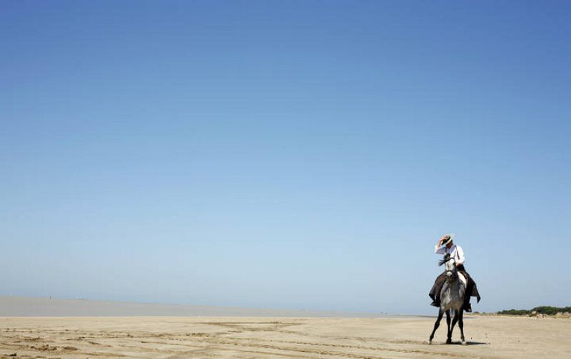 Peregrinación al Rocío