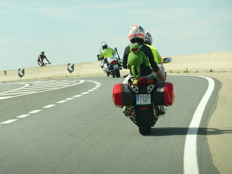 María José Agustín.