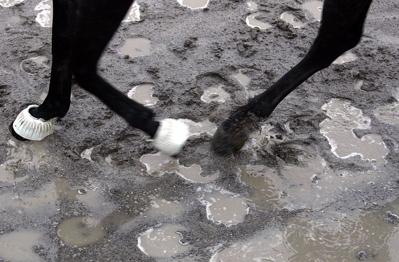 Los cascos de un caballo