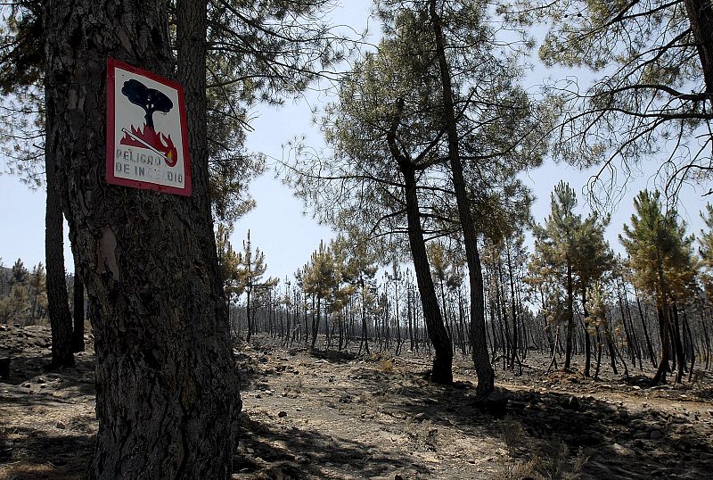 CONTROLADO EL INCENDIO DE CASTROCONTRIGO (LEÓN) TRAS ARDER 940 HECTÁREAS
