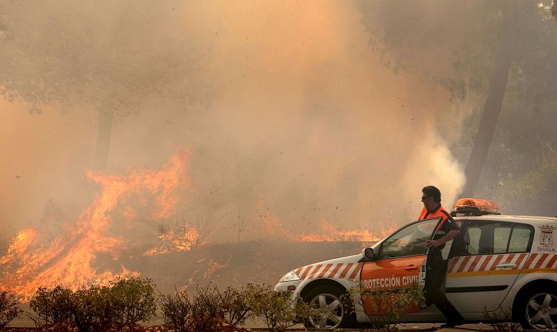 UN INCENDIO EN EL CHARCO DE LA PAVA, EN SEVILLA, AFECTA A PINOS Y ARBUSTOS