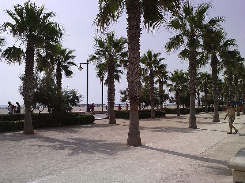 Playa de la Malvarosa (valencia)