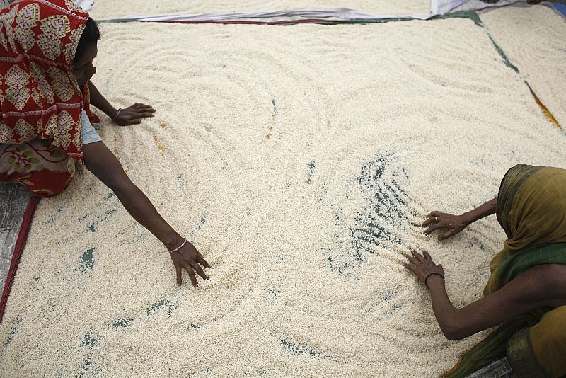 Women spread rice, wet by rain water, to dry in the outskirt of Dhaka