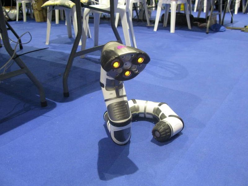 Algunos robots circulan libremente por el suelo de la carpa, haciendo las delicias de muchos aficionados
