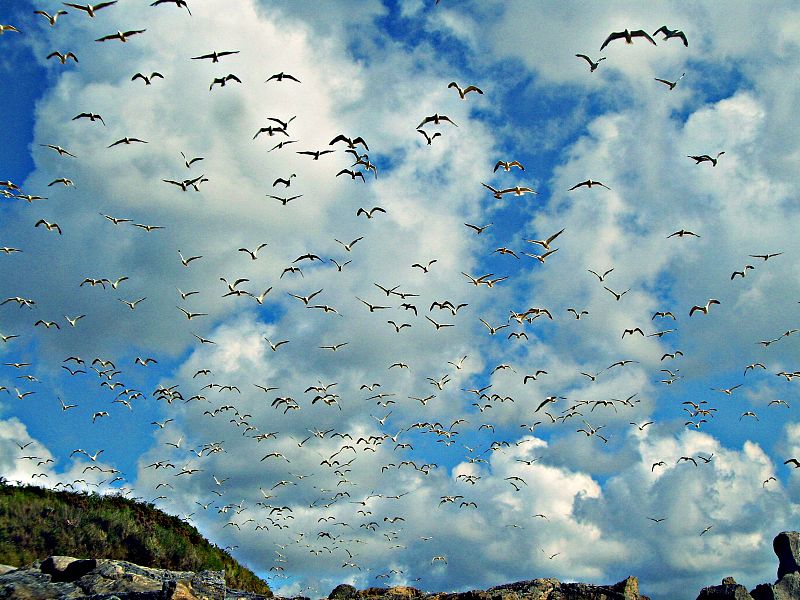 Playa de Seiruga, en A Coruña.(30/07/09)