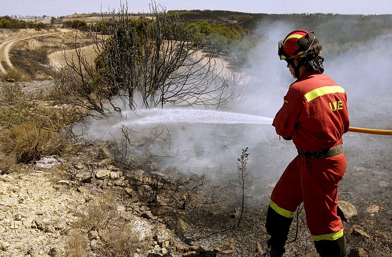 Los Incendios Que Azotan Los Bosques Españoles 12