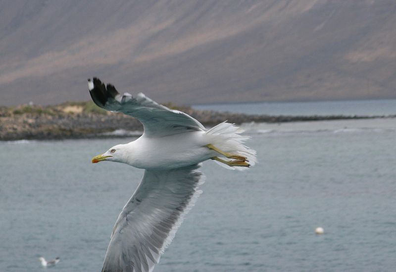 La Graciosa