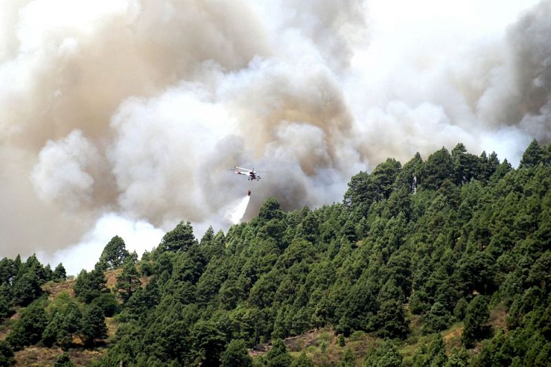 INCENDIO EN LA PALMA