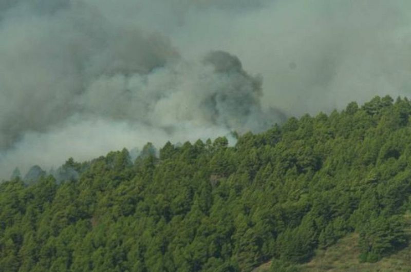 INCENDIO EN LA PALMA